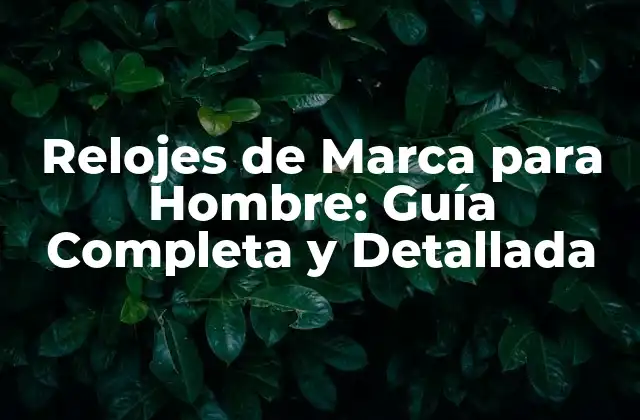 Relojes de Marca para Hombre: Guía Completa y Detallada