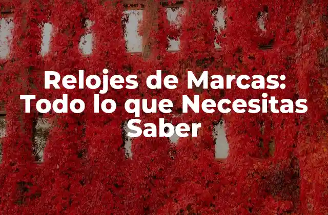 Relojes de Marcas: Todo Lo que Necesitas Saber 2 Historia de los Relojes de Marcas