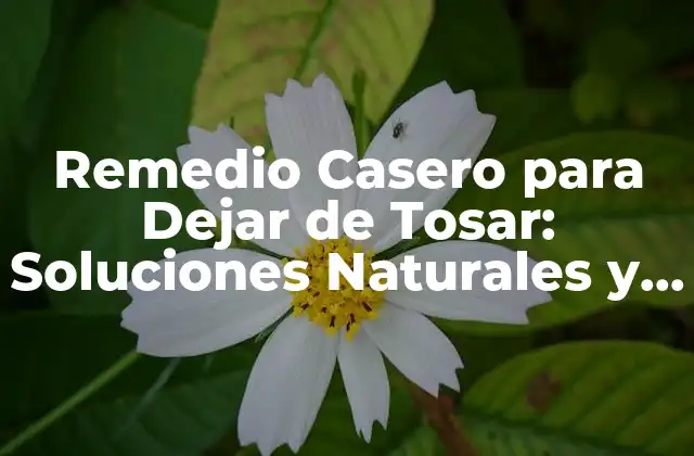 Remedio Casero para Dejar de Tosar: Soluciones Naturales y Efectivas