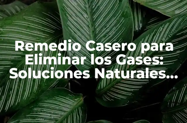 Remedio Casero para Eliminar los Gases: Soluciones Naturales para una Digestión Saludable