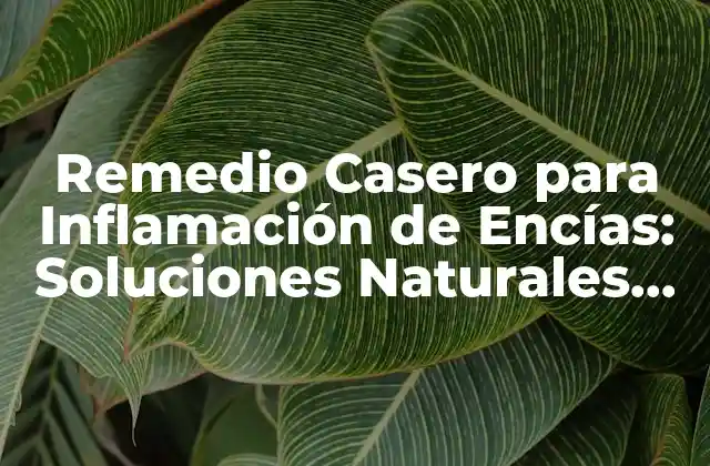 Remedio Casero para Inflamación de Encías: Soluciones Naturales para una Salud Bucal Óptima