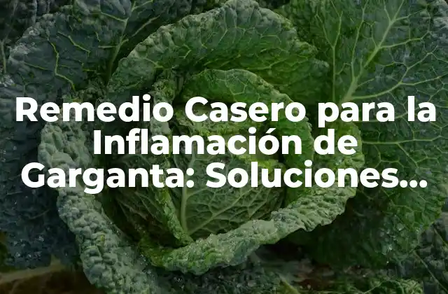 Remedio Casero para la Inflamación de Garganta: Soluciones Naturales para Aliviar el Dolor