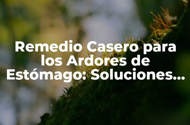 Remedio Casero para los Ardores de Estómago: Soluciones Naturales y Efectivas