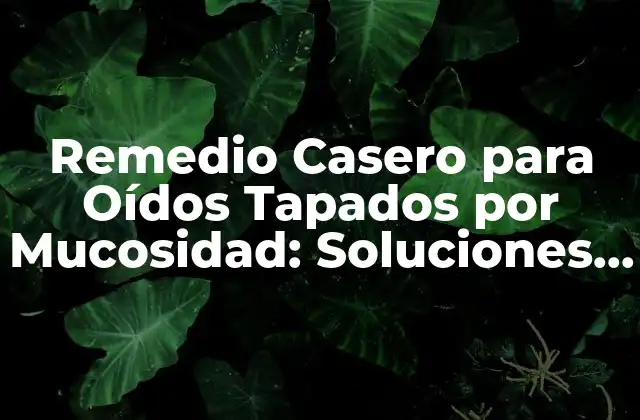 Remedio Casero para Oídos Tapados por Mucosidad: Soluciones Naturales y Efectivas