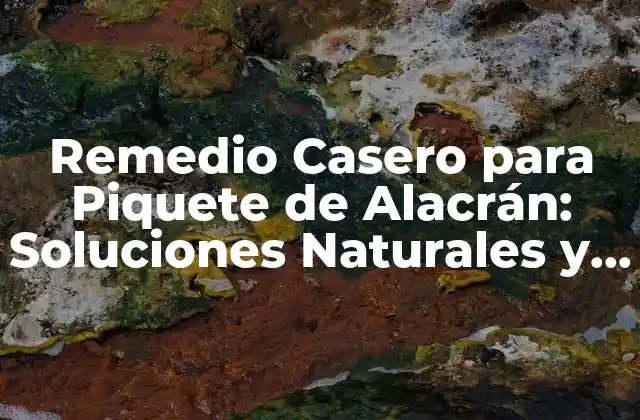 Remedio Casero para Piquete de Alacrán: Soluciones Naturales y Efectivas