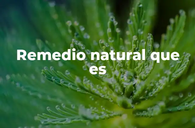 Remedio Natural que es 2 La importancia de los ingredientes naturales en la salud