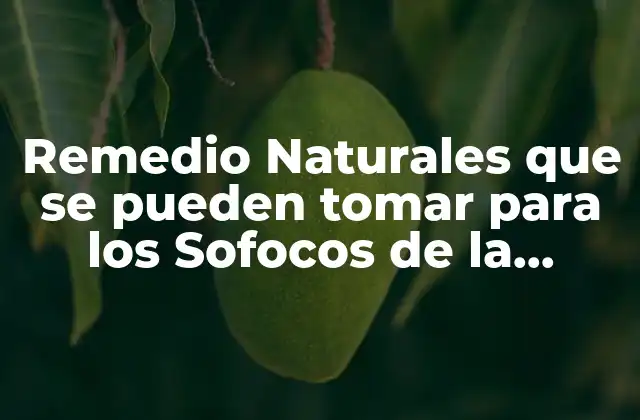 Remedio Naturales que Se Pueden Tomar para los Sofocos de la Menopausia