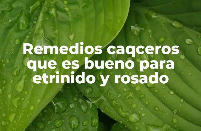 Remedios Caqceros que es Bueno para Etrinido y Rosado