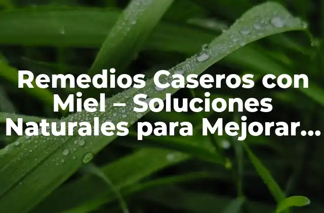 Remedios Caseros con Miel - Soluciones Naturales para Mejorar Tu Salud 2 ¿Cuáles son los Beneficios de la Miel para la Salud?
