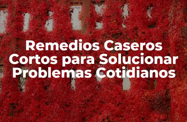 ¿Qué son los Remedios Caseros Cortos?