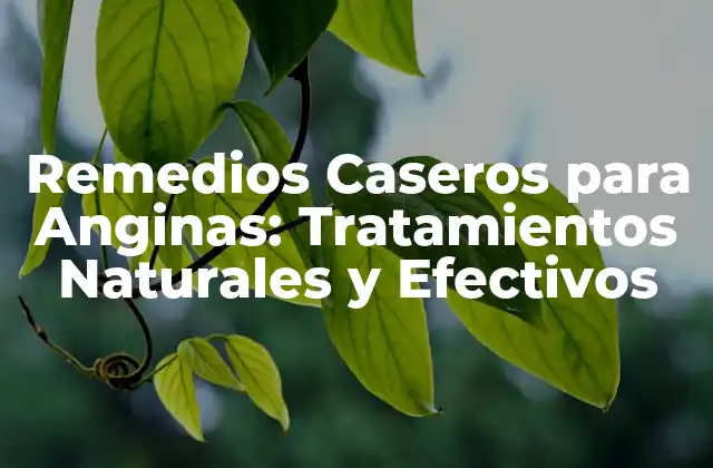 Remedios Caseros para Anginas: Tratamientos Naturales y Efectivos
