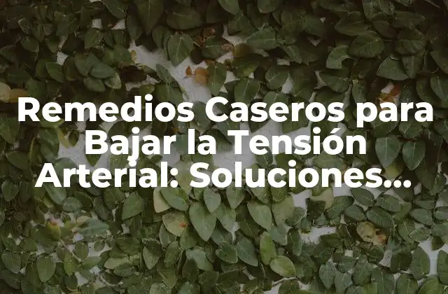 Remedios Caseros para Bajar la Tensión Arterial: Soluciones Naturales