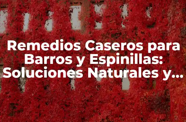 Remedios Caseros para Barros y Espinillas: Soluciones Naturales y Efectivas