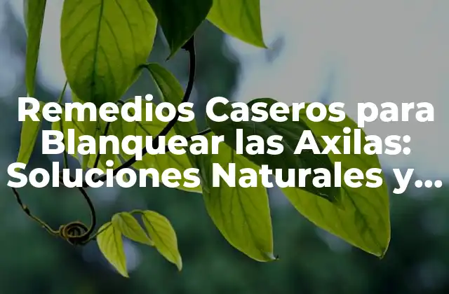 Remedios Caseros para Blanquear las Axilas: Soluciones Naturales y Efectivas