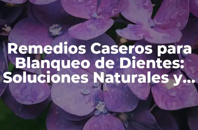 Remedios Caseros para Blanqueo de Dientes: Soluciones Naturales y Efectivas