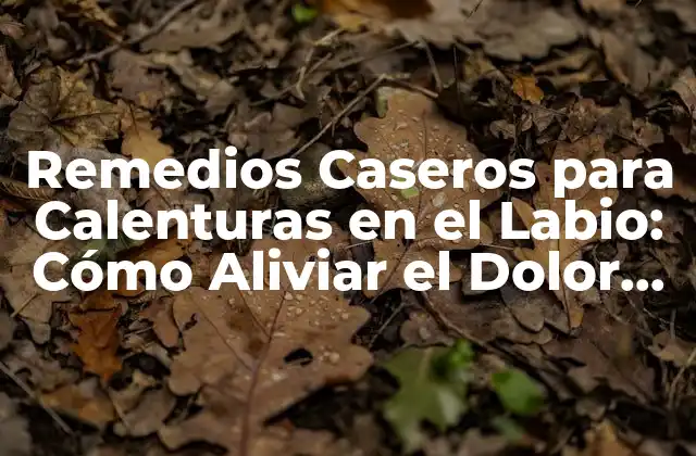 Remedios Caseros para Calenturas en el Labio: Cómo Aliviar el Dolor de Forma Natural
