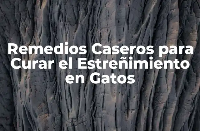 Remedios Caseros para Curar el Estreñimiento en Gatos