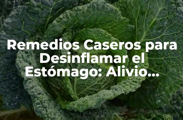 Remedios Caseros para Desinflamar el Estómago: Alivio Natural y Efectivo