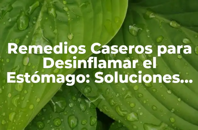 Remedios Caseros para Desinflamar el Estómago: Soluciones Naturales y Efectivas