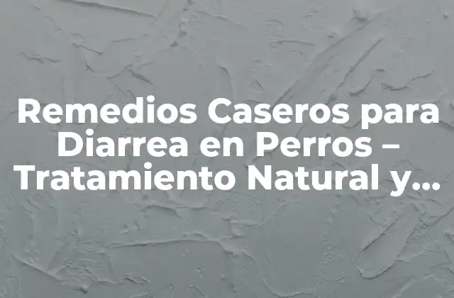 Remedios Caseros para Diarrea en Perros – Tratamiento Natural y Efectivo