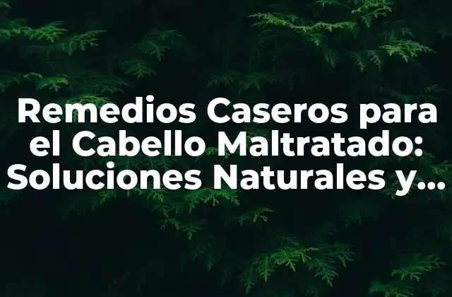 Remedios Caseros para el Cabello Maltratado: Soluciones Naturales y Efectivas