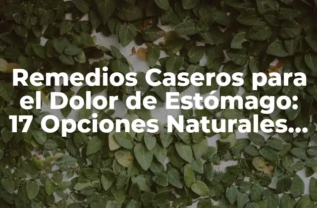 Remedios Caseros para el Dolor de Estómago: 17 Opciones Naturales y Efectivas