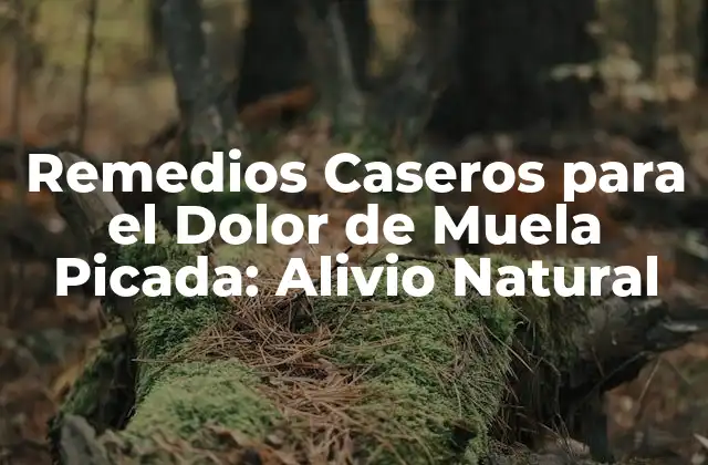 Remedios Caseros para el Dolor de Muela Picada: Alivio Natural
