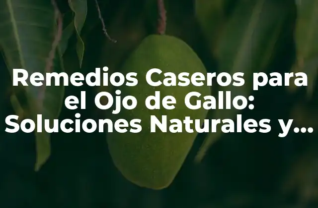 Remedios Caseros para el Ojo de Gallo: Soluciones Naturales y Efectivas 2 Causas del Ojo de Gallo y Síntomas Comunes