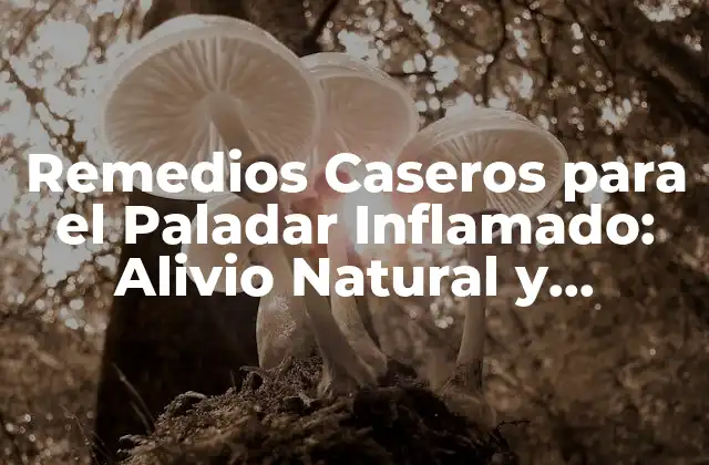 Remedios Caseros para el Paladar Inflamado: Alivio Natural y Efectivo