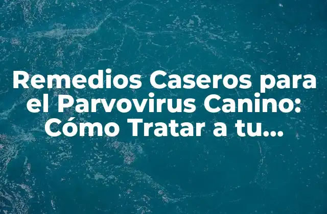 Remedios Caseros para el Parvovirus Canino: Cómo Tratar a Tu Mascota