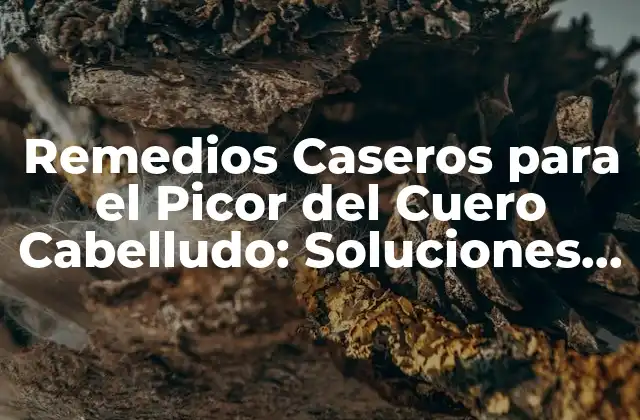 Remedios Caseros para el Picor Del Cuero Cabelludo: Soluciones Naturales y Efectivas
