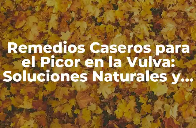 Remedios Caseros para el Picor en la Vulva: Soluciones Naturales y Efectivas