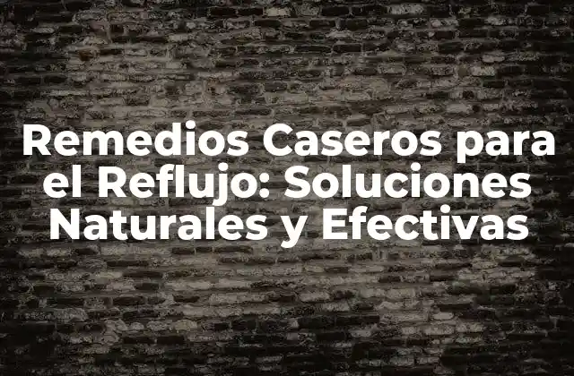 Remedios Caseros para el Reflujo: Soluciones Naturales y Efectivas 2 Causas del Reflujo: Entendiendo el Problema