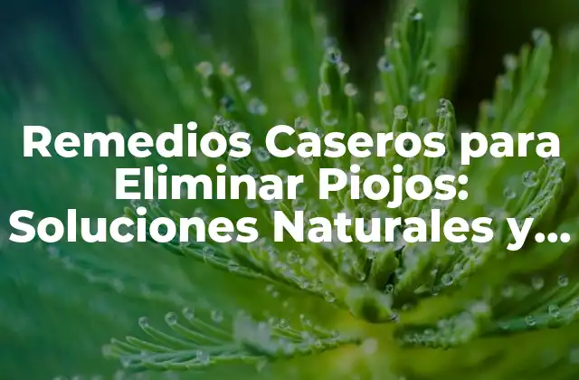 Remedios Caseros para Eliminar Piojos: Soluciones Naturales y Efectivas