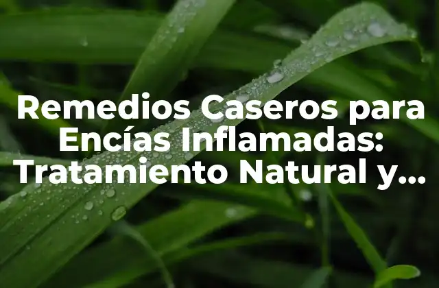 Remedios Caseros para Encías Inflamadas: Tratamiento Natural y Efectivo