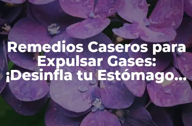 Remedios Caseros para Expulsar Gases: ¡desinfla Tu Estómago de Forma Natural!