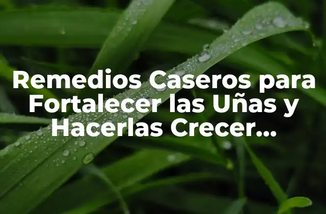 Remedios Caseros para Fortalecer las Uñas y Hacerlas Crecer Rápidamente