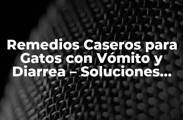 Remedios Caseros para Gatos con Vómito y Diarrea – Soluciones Naturales para la Salud Felina