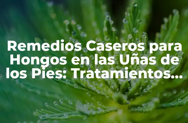 Remedios Caseros para Hongos en las Uñas de los Pies: Tratamientos Naturales y Efectivos
