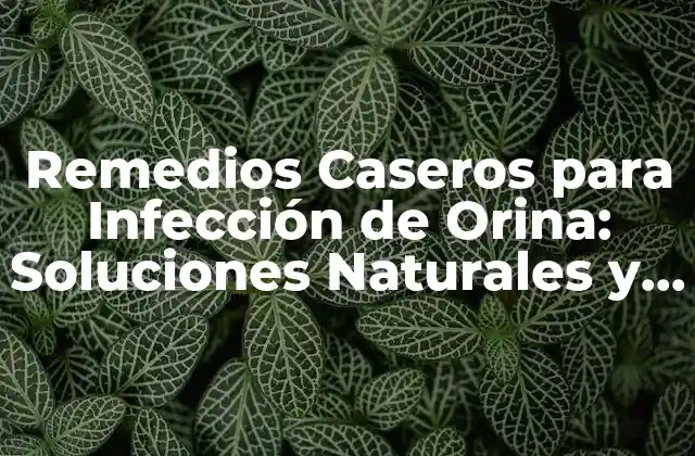 Remedios Caseros para Infección de Orina: Soluciones Naturales y Eficaces