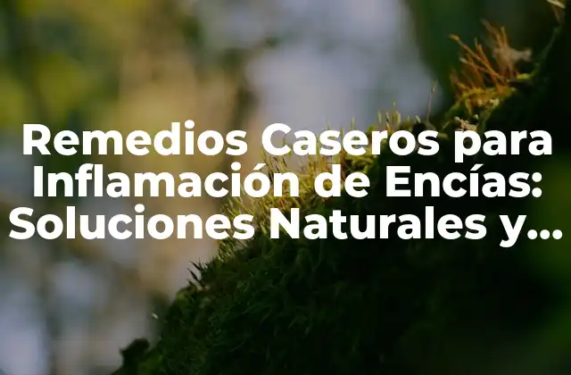 Remedios Caseros para Inflamación de Encías: Soluciones Naturales y Efectivas