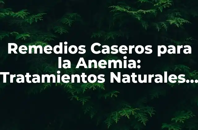 Remedios Caseros para la Anemia: Tratamientos Naturales y Efectivos