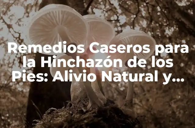 Remedios Caseros para la Hinchazón de los Pies: Alivio Natural y Efectivo