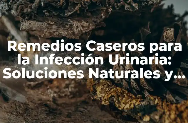 Remedios Caseros para la Infección Urinaria: Soluciones Naturales y Efectivas