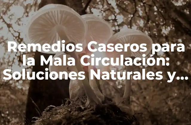 Remedios Caseros para la Mala Circulación: Soluciones Naturales y Efectivas