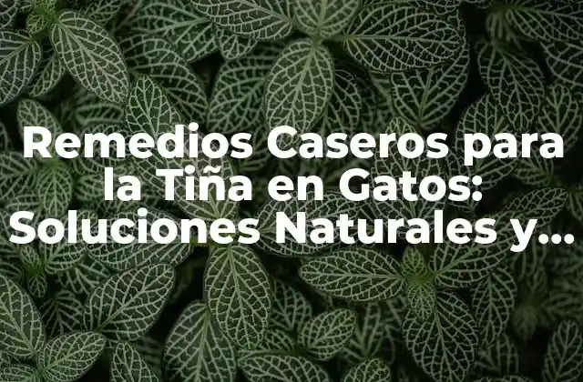 Remedios Caseros para la Tiña en Gatos: Soluciones Naturales y Efectivas