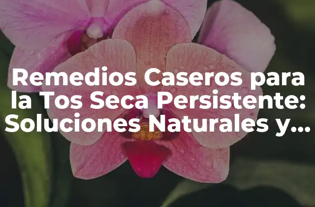 Remedios Caseros para la Tos Seca Persistente: Soluciones Naturales y Efectivas