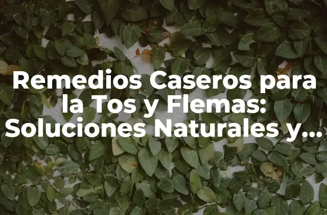 Remedios Caseros para la Tos y Flemas: Soluciones Naturales y Efectivas