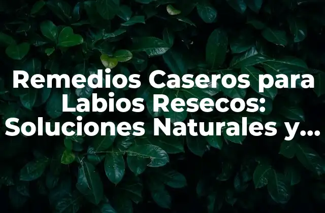 Causas de los Labios Resecos