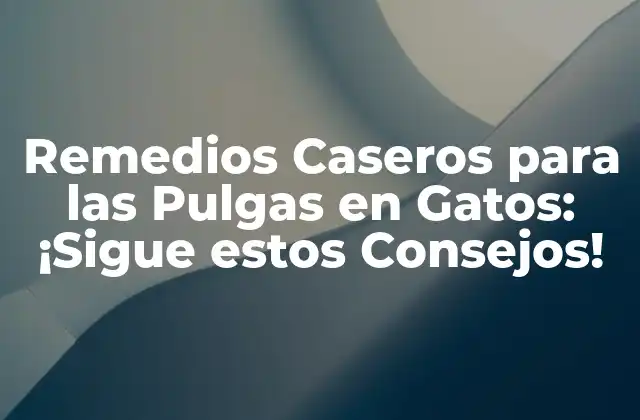 Remedios Caseros para las Pulgas en Gatos: ¡sigue Estos Consejos!